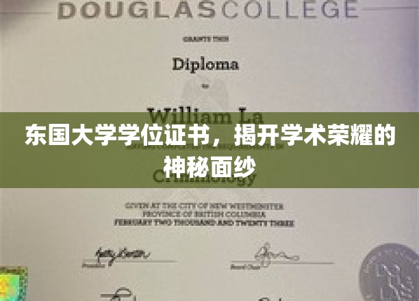 东国大学学位证书，探寻学术巅峰的荣耀凭证