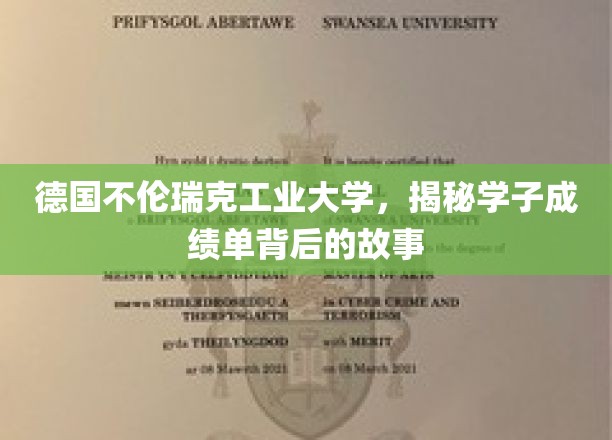 揭秘德工学子成绩单背后的奋斗轨迹
