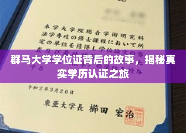群马大学学位证背后的故事，揭秘真实学历认证之旅