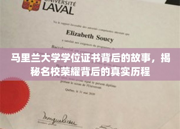马里兰大学学位证书背后的故事，揭秘名校荣耀背后的真实历程