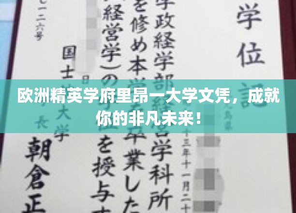 跃升欧洲巅峰，里昂一大学文凭，铺就非凡人生之路