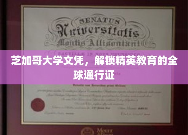 全球精英教育的通行钥匙，揭秘芝加哥大学文凭的魅力