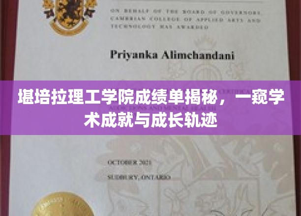 解码堪培拉理工学院成绩单，揭秘学子成就与成长路径