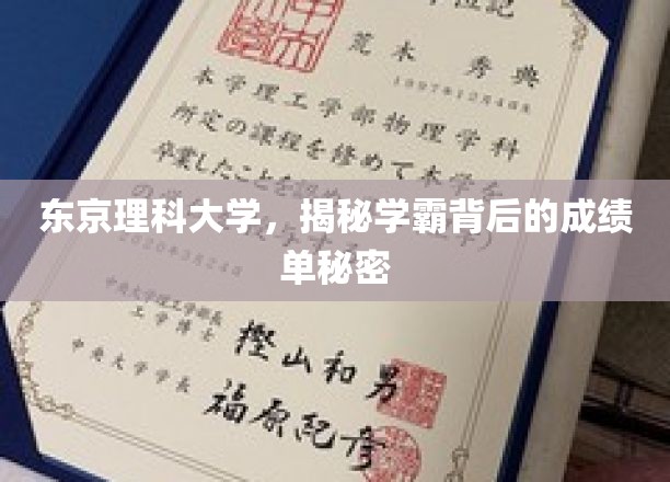 揭开东京理科大学学霸们的学术秘籍
