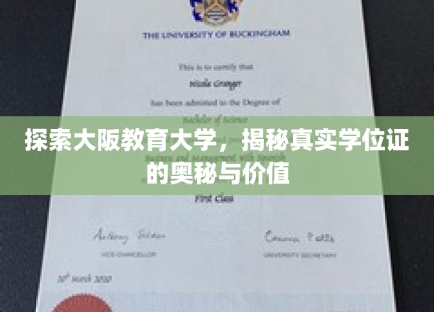 解码大阪教育大学，学位证的深层价值与探索之旅
