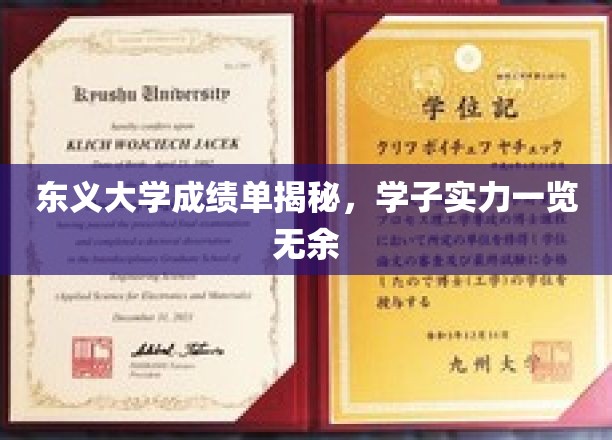 东义大学学子实力大曝光，成绩单背后的精彩故事