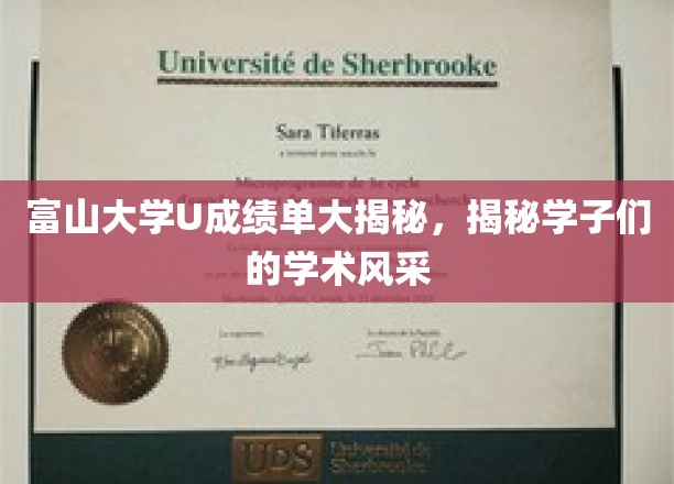 富山大学U成绩单深度解读，探寻学子们的学术风采