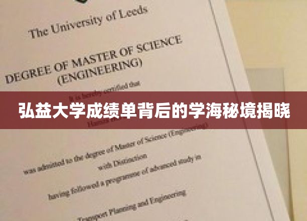 弘益大学成绩单揭秘，探寻学海深处的璀璨智慧