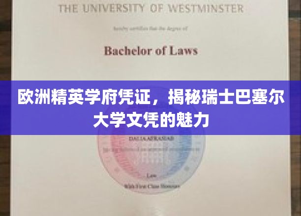 欧洲精英学府凭证，揭秘瑞士巴塞尔大学文凭的魅力