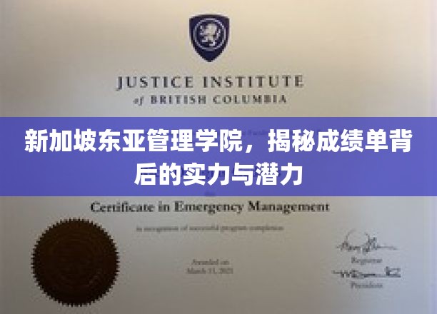 解码新加坡东亚管理学院，成绩单下的非凡实力与无限潜能