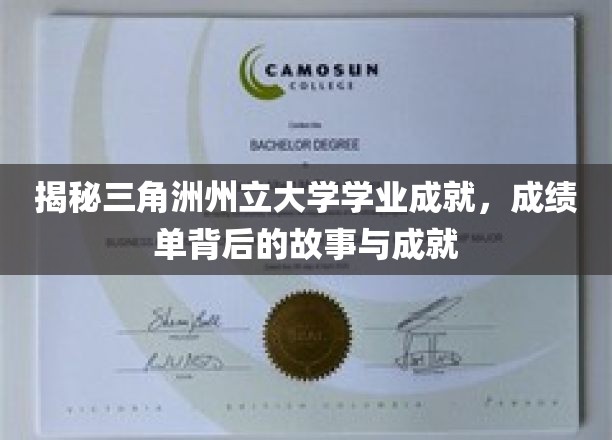 解码三角洲州立大学辉煌篇章，探寻学业成就背后的故事与荣耀