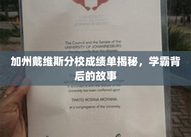 加州戴维斯分校成绩单揭秘，学霸背后的故事