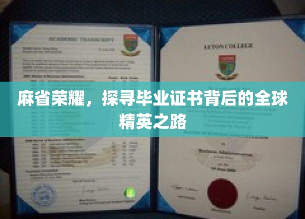 麻省光环揭秘，全球精英如何成就毕业证书背后的传奇之路