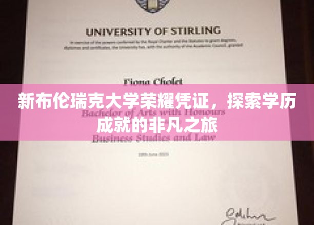 新布伦瑞克大学荣耀凭证，探索学历成就的非凡之旅