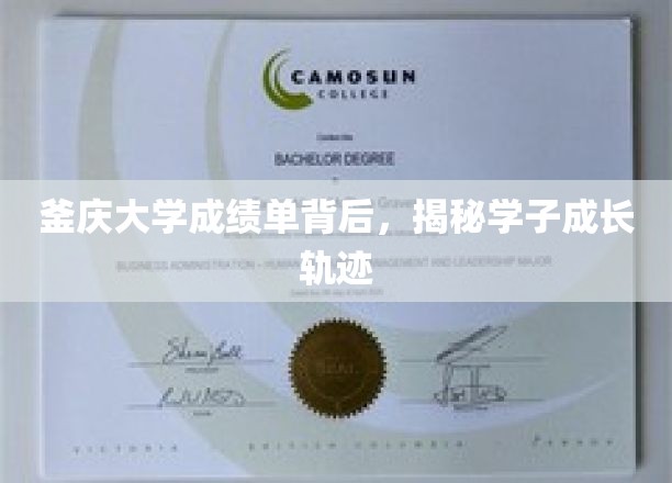 探寻釜庆大学学子成长足迹，成绩单背后的故事