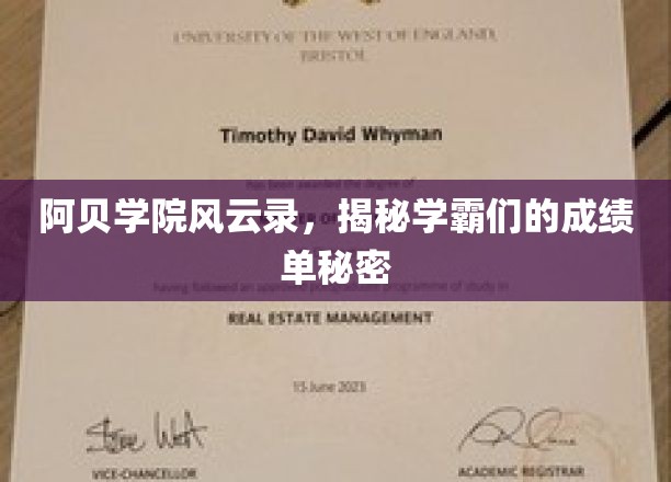 阿贝学院学霸风云，揭开成绩背后的神秘面纱