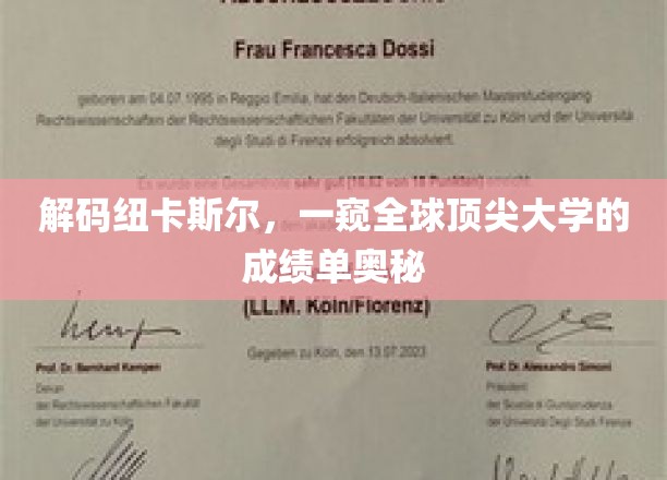 纽卡斯尔大学揭秘，揭秘全球顶尖大学背后的卓越成绩单！