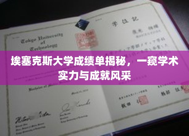 埃塞克斯大学成绩单背后，解锁学术卓越的隐藏密码