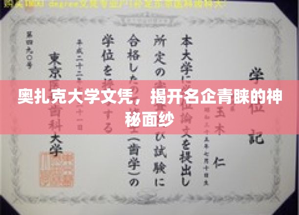 奥扎克大学文凭背后的职场魅力，揭秘名企抢手的秘密武器