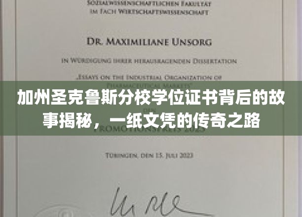 加州圣克鲁斯分校文凭传奇，一纸证书背后的求学奇旅
