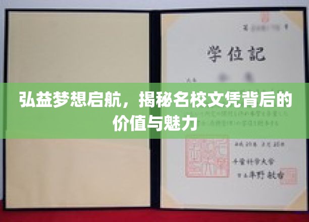 名校光环下的梦想起点，探寻文凭的价值与无限魅力