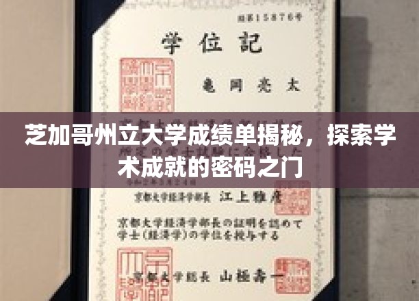 芝加哥州立大学成绩单揭秘，探索学术成就的密码之门