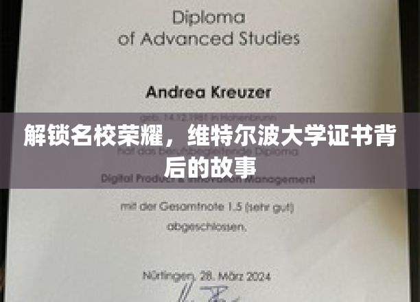 解锁名校荣耀，维特尔波大学证书背后的故事