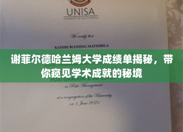 探索谢菲尔德哈兰姆大学成绩单背后，揭秘学术成就的神秘画卷