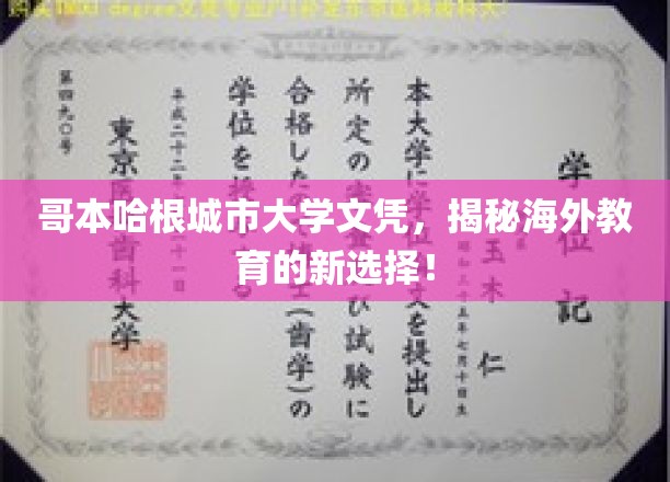 哥本哈根城市大学文凭，揭秘海外教育的新选择！