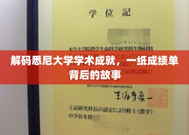 解码悉尼大学学术成就，一纸成绩单背后的故事