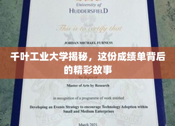 千叶工业大学揭秘，这份成绩单背后的精彩故事