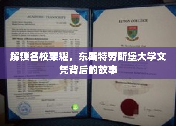 揭秘名校之光，东斯特劳斯堡大学文凭背后的非凡历程