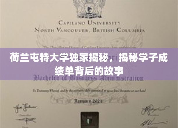 荷兰屯特大学独家揭秘，揭秘学子成绩单背后的故事