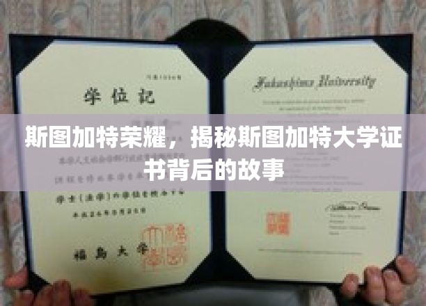 斯图加特荣耀，揭秘斯图加特大学证书背后的故事