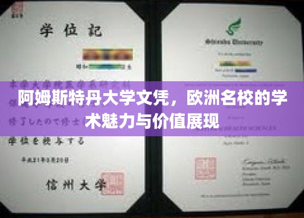 阿姆斯特丹大学文凭，欧洲名校的学术魅力与价值展现
