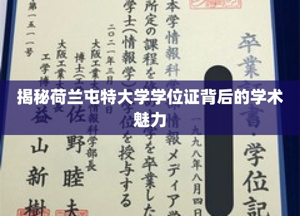 探寻荷兰屯特大学学位证的学术光环与独特价值