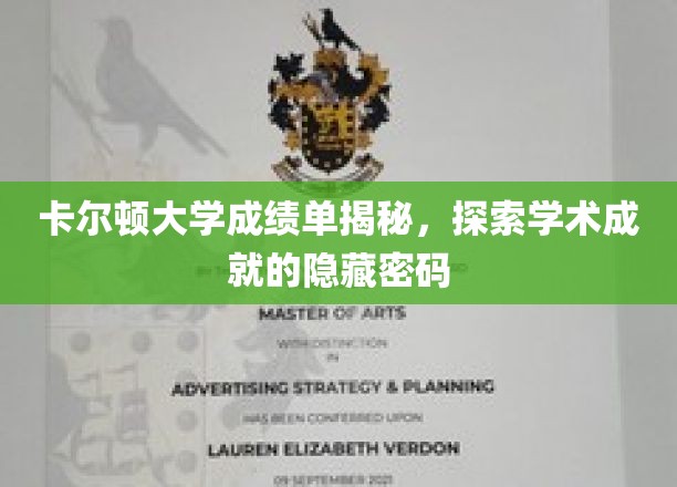 卡尔顿大学成绩单揭秘，探索学术成就的隐藏密码