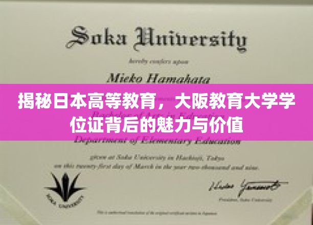 探索大阪教育大学学位证的神秘魅力与深远价值