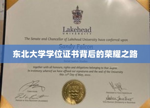 探寻东北大学学子荣耀学位的砥砺征程