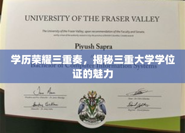 学位三合一，探寻高学历的跨界魅力之旅