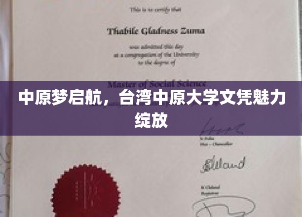 两岸同梦，中原大学文凭闪耀职场新篇章