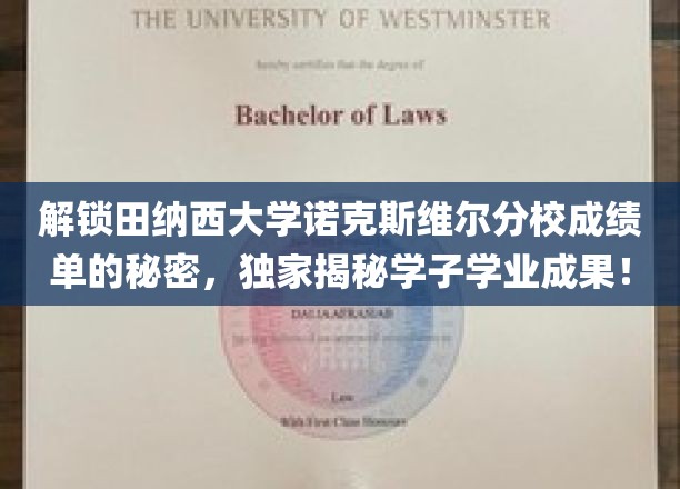解锁田纳西大学诺克斯维尔分校成绩单的秘密，独家揭秘学子学业成果！