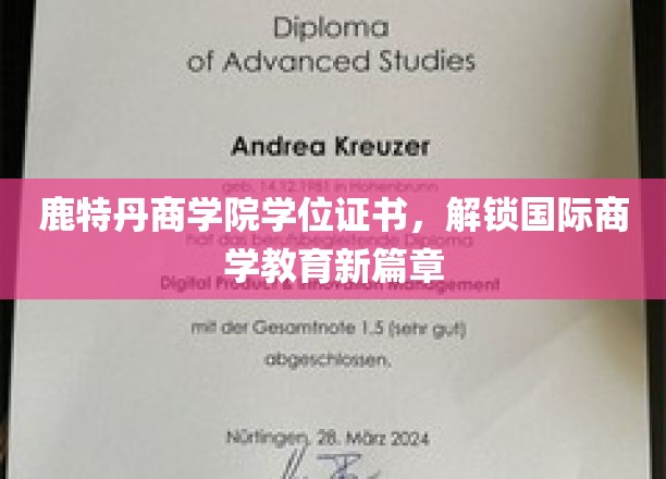 鹿特丹商学院学位，引领全球商学教育新潮流