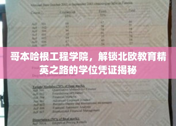探秘哥本哈根工程学院，揭秘北欧精英人才培养的学位奥秘