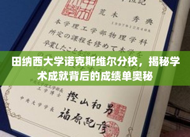 田纳西大学诺克斯维尔分校，揭秘学术成就背后的成绩单奥秘