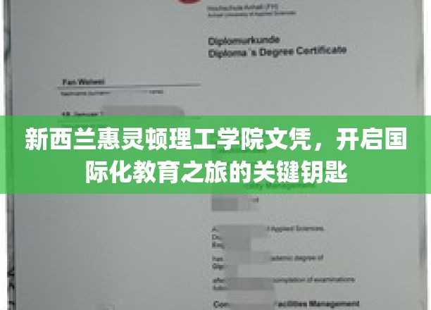 新西兰惠灵顿理工学院文凭，开启国际化教育之旅的关键钥匙