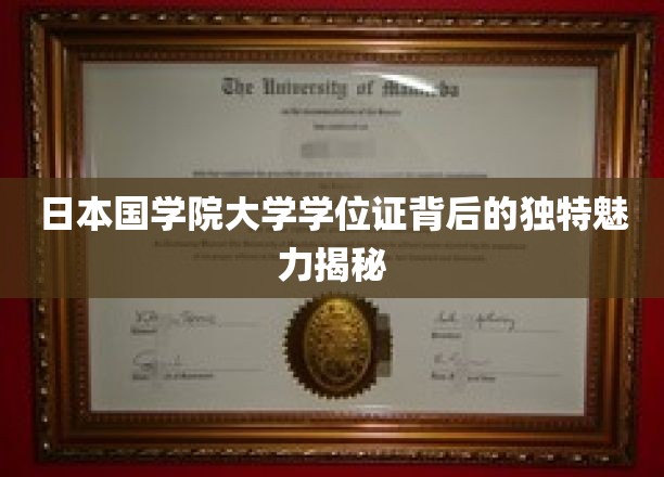 日本国学院大学学位证背后的独特魅力揭秘