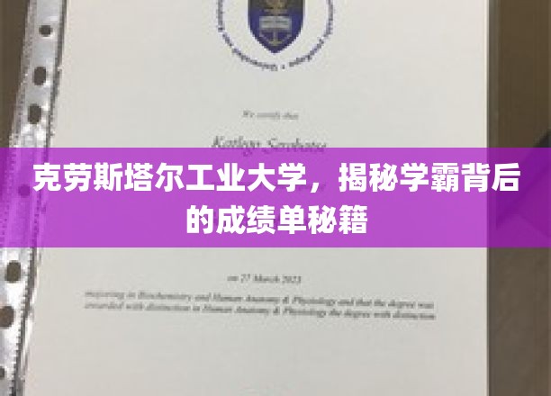 探寻学霸传奇，克劳斯塔尔工业大学背后的学习秘笈