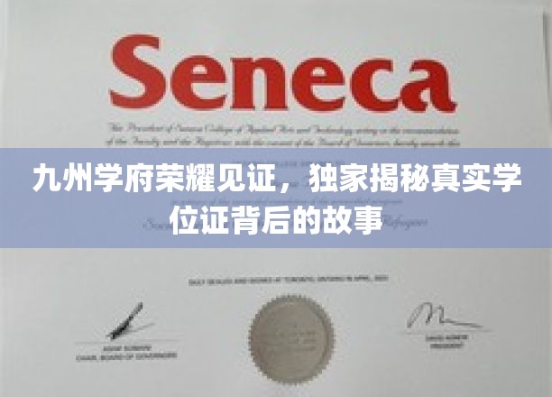 学位传奇，九州学府揭秘，一纸证书背后的不凡历程