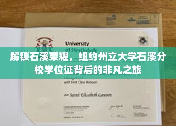 解锁石溪荣耀，纽约州立大学石溪分校学位证背后的非凡之旅